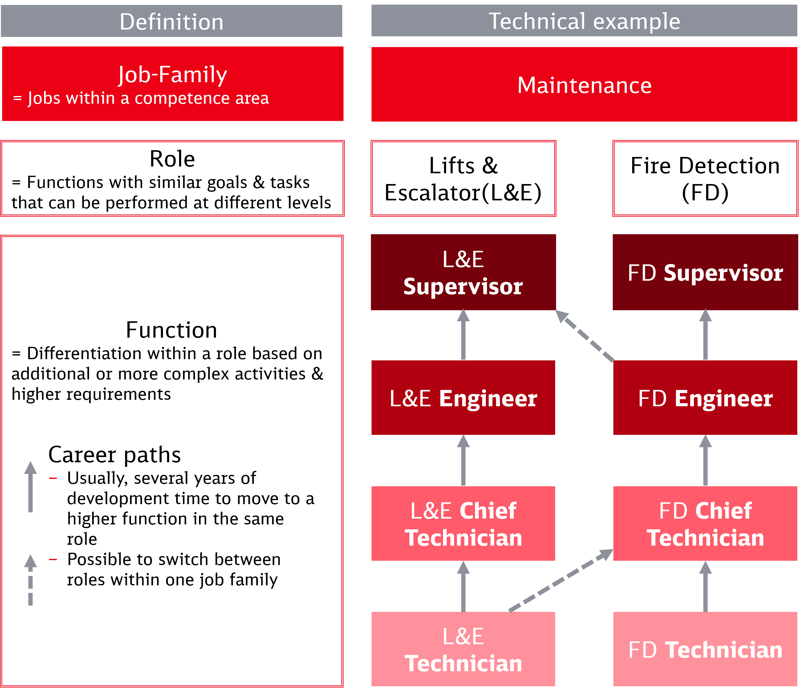 Example for career paths in a technical job family